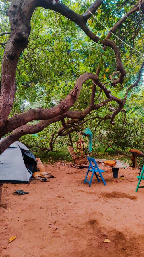 Peace Garden Albergue Auroville Exterior foto