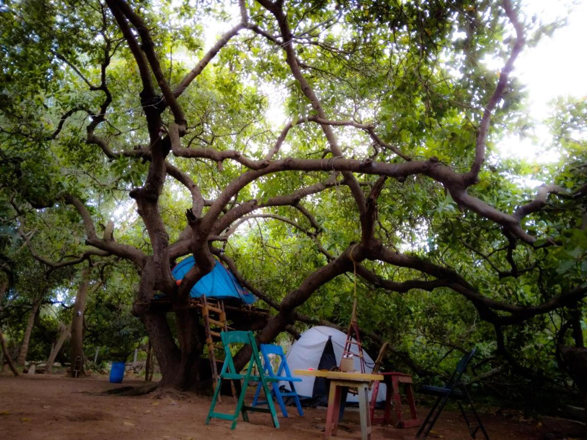 Peace Garden Albergue Auroville Exterior foto